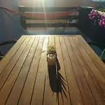 Lejlighed Relaxing Sea View Oasis