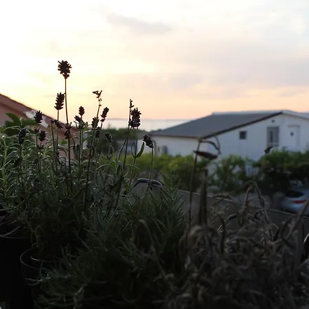 Relaxing Sea View Oasis *