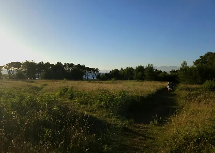 Relaxing Sea View Oasis