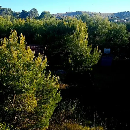 Relaxing Sea View Oasis 公寓