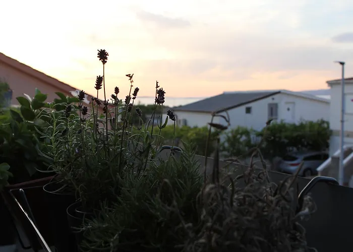 Relaxing Sea View Oasis *